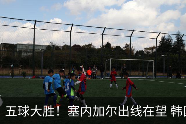 五球大胜！塞内加尔出线在望 韩国晋级仅剩理论希望