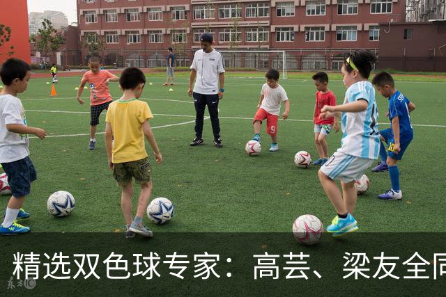 精选双色球专家：高芸、梁友全同中二等279万！