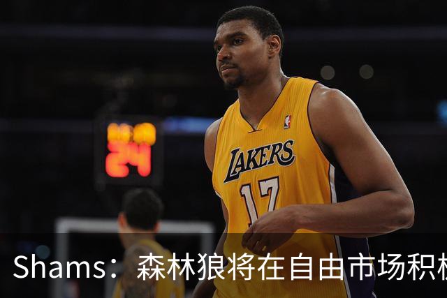 Shams：森林狼将在自由市场积极补强4号位 但他们只能提供底薪