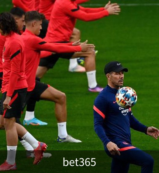 关于bet365